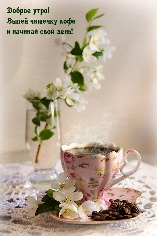 Апрельское утро картинки красивые с надписью. Красивые цветы в чашке. Нежное утро. Прекрасного весеннего утра.