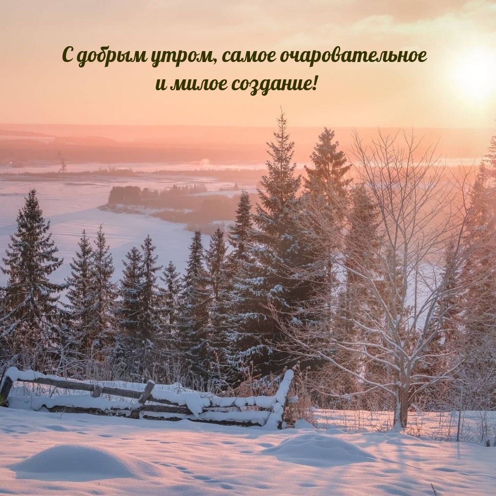 Морозное утро