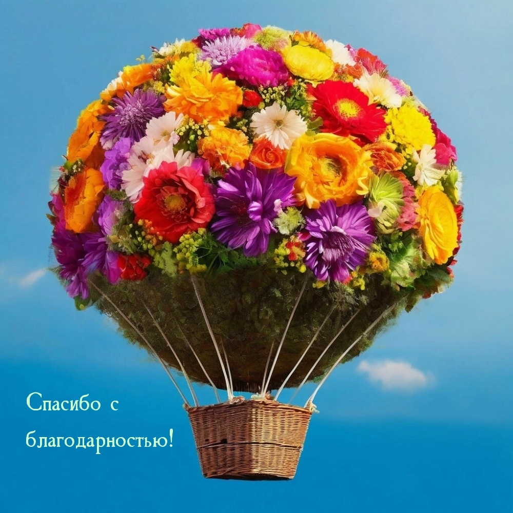 Спасибо с благодарностью!