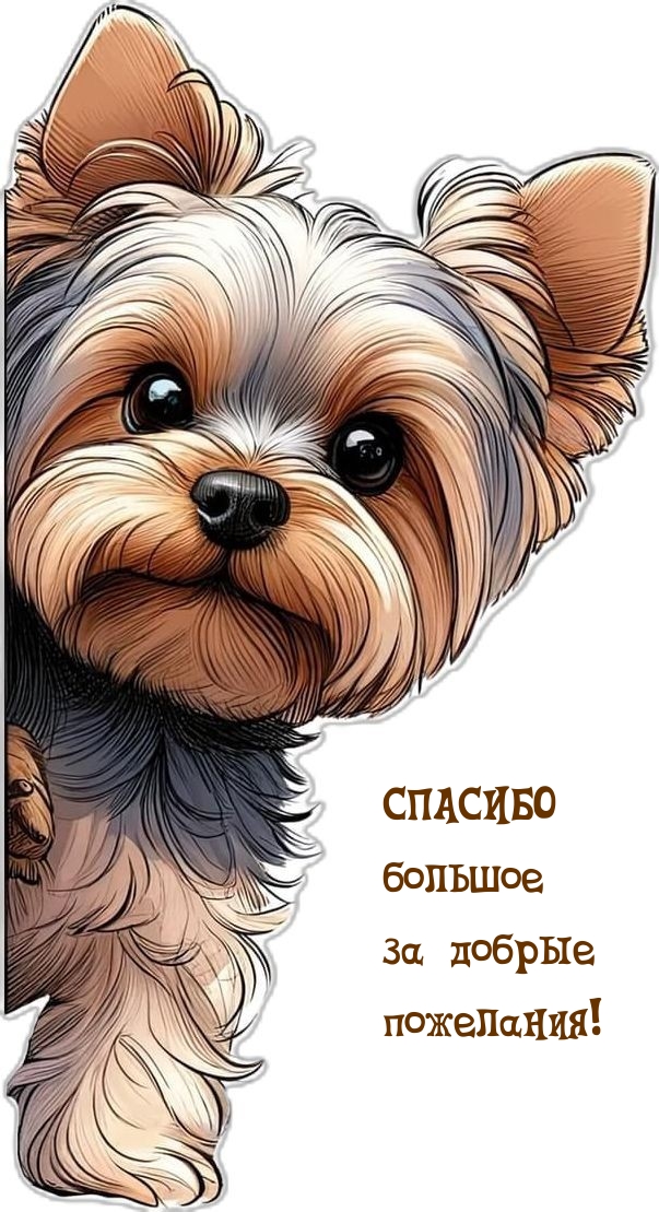 Спасибо большое за добрые пожелания!