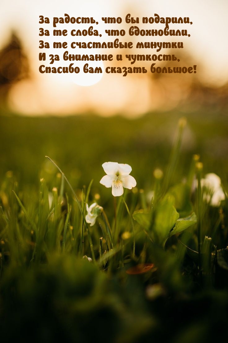 За радость, что вы подарили, за те слова, что вдохновили