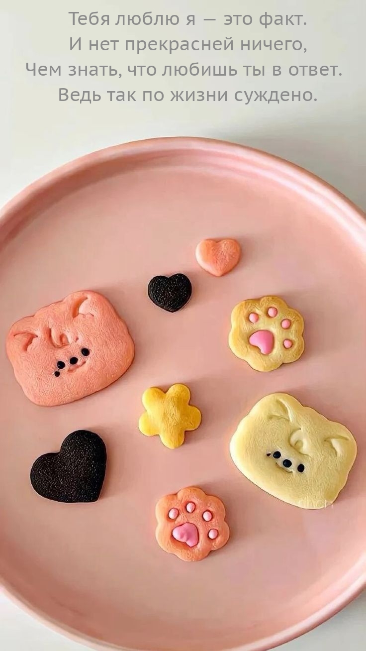 Тебя люблю я — это факт. И нет прекрасней ничего