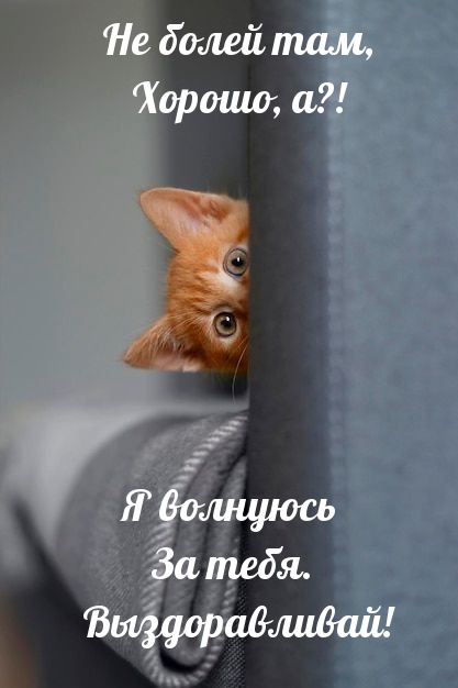 Не болей там, хорошо, а?! Я волнуюсь за тебя. Выздоравливай!