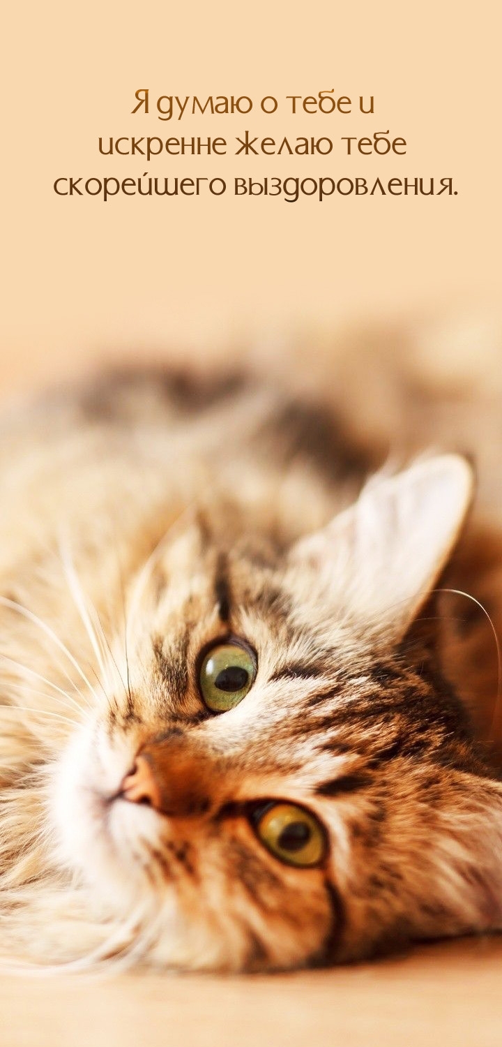 Я думаю о тебе и искренне желаю скорейшего выздоровления.