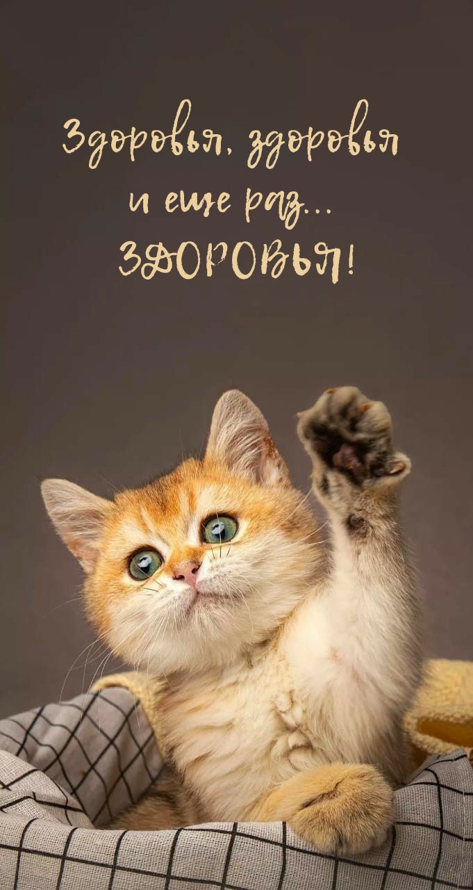 Здоровья, здоровья и еще раз... Здоровья!