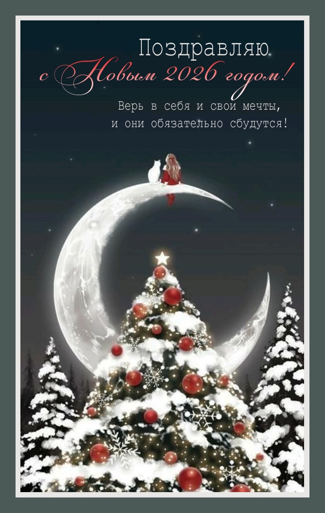 Верь в себя и свои мечты, и они обязательно сбудутся!