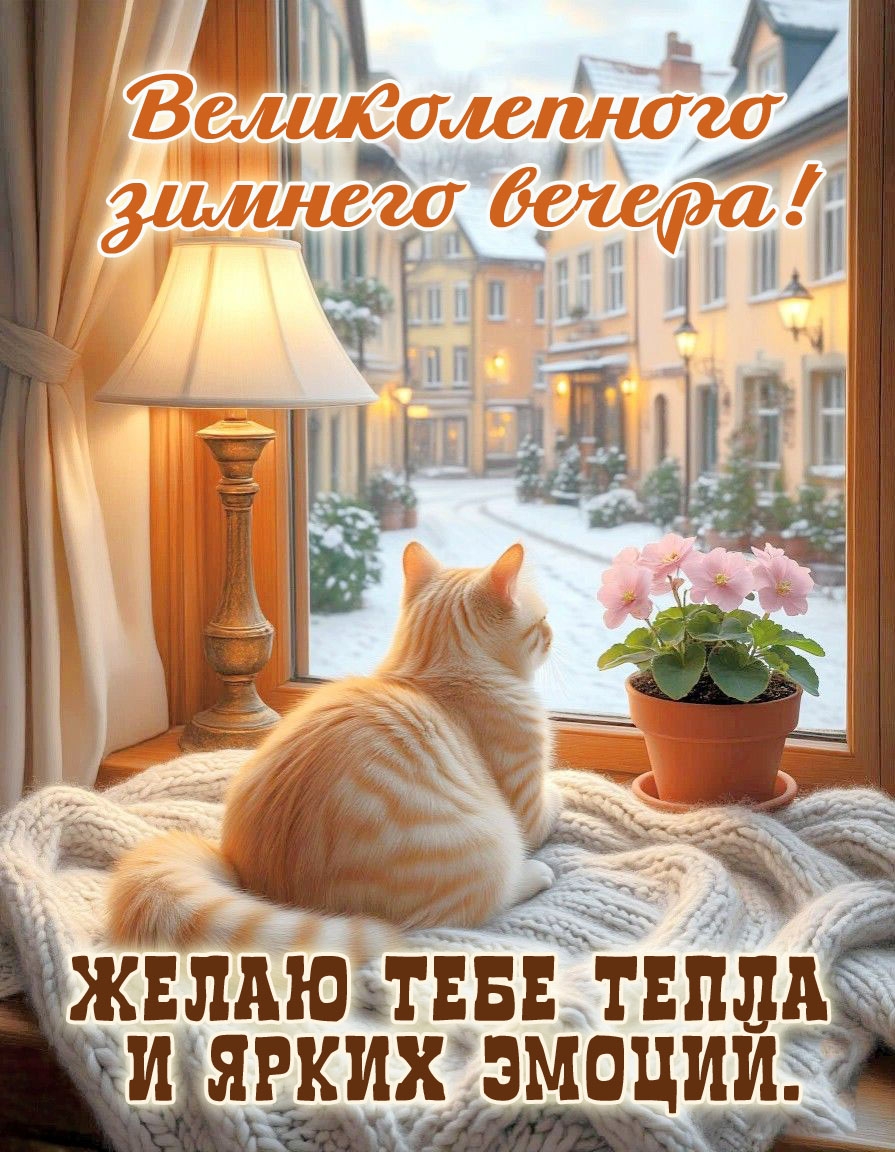 Желаю тебе тепла и ярких эмоций.