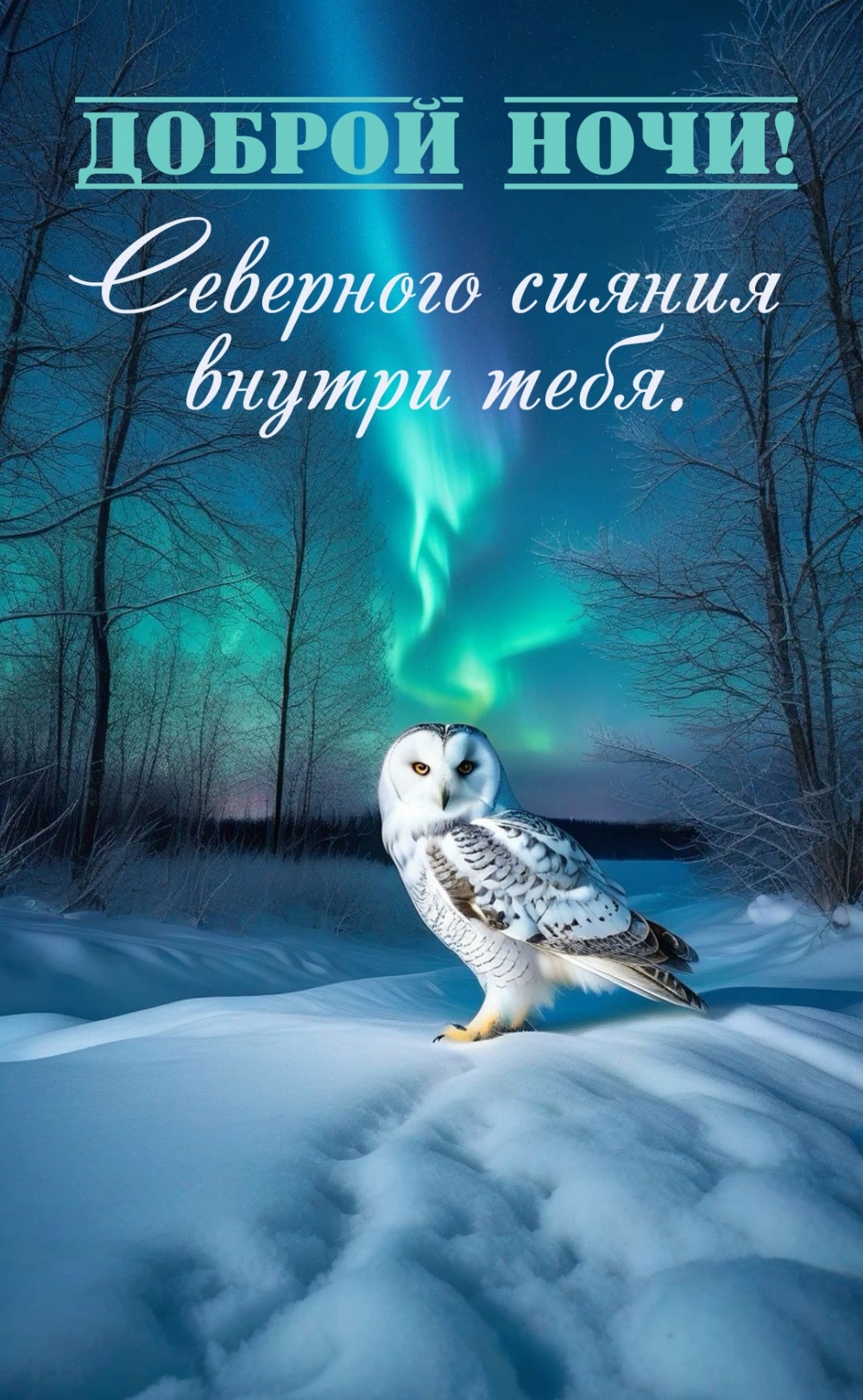 Северного сияния внутри тебя.